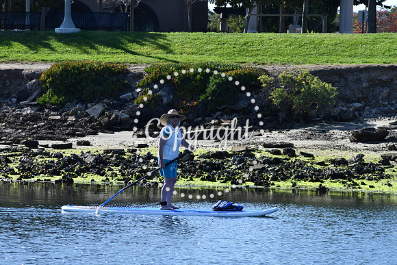 DSC_2198 (1)