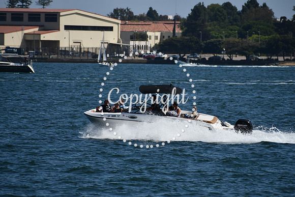 DSC_0597 (1)