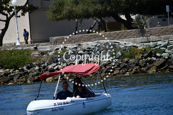 DSC_0073 (1)