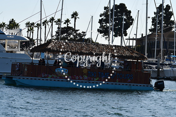 DSC_2161 (1)