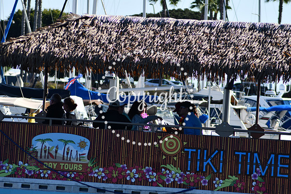 DSC_2164 (1)