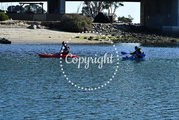 DSC_2214 (1)