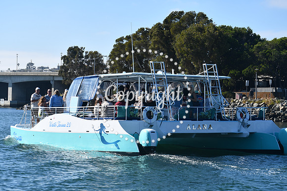 DSC_1535 (1)