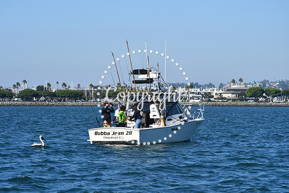 DSC_1491 (1)