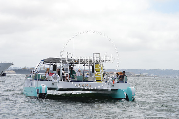DSC_0239 - Copy