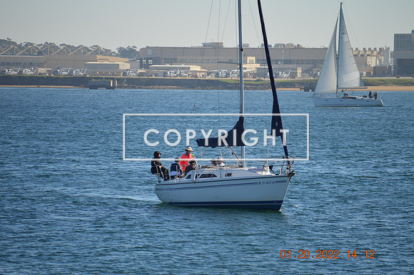 DSC_0104 (1)