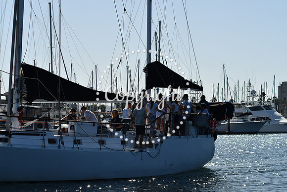 DSC_2093 (1)