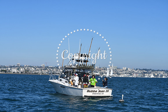 DSC_1501 (1)