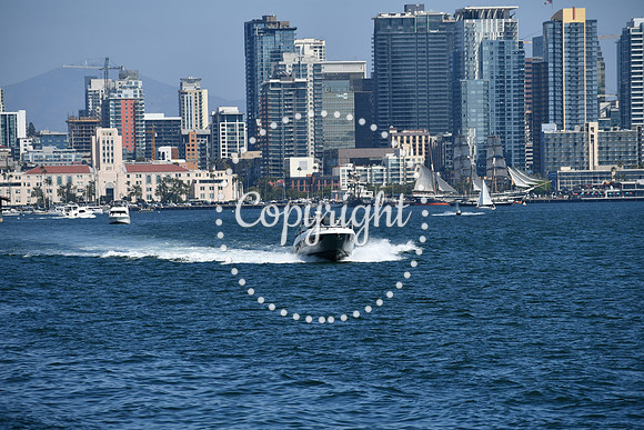 DSC_0606 (1)