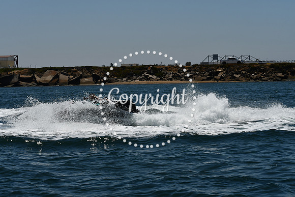 DSC_0104 (1)