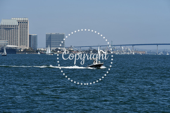 DSC_0565 (1)