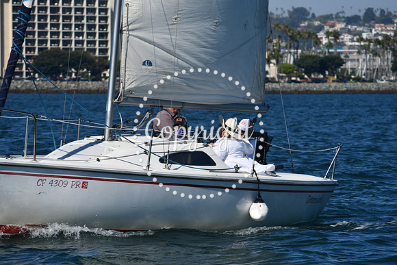 DSC_1486 (1)