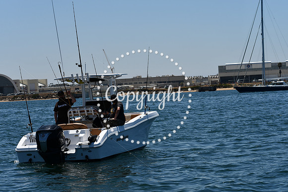 DSC_0138 (1)