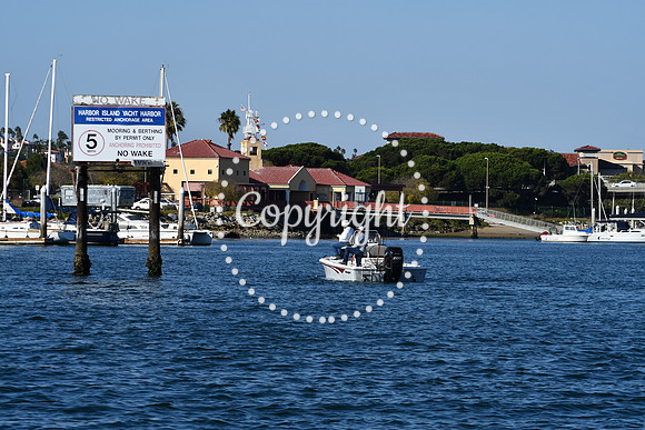 DSC_2246 (1)
