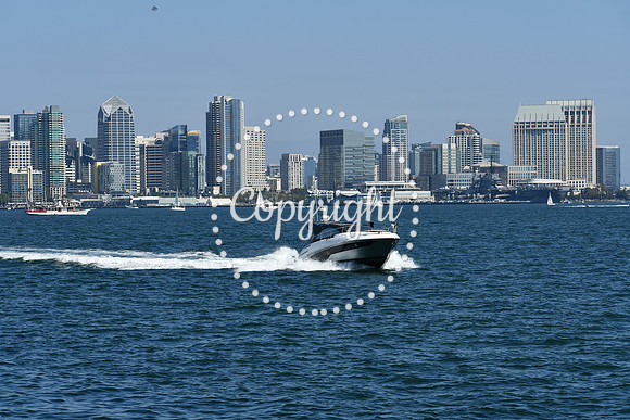 DSC_0612 (1)
