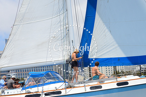DSC_0110 - Copy