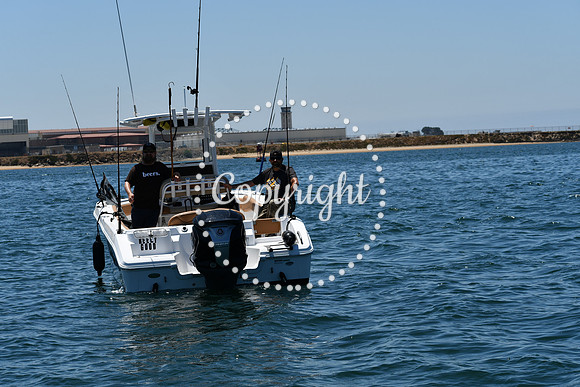 DSC_0140 (1)