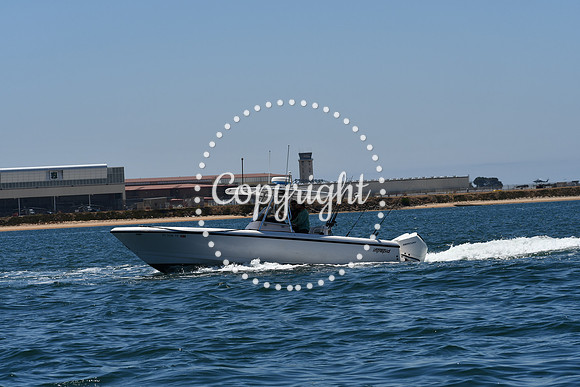 DSC_0198 (1)