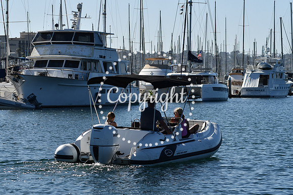 DSC_2056 (1)
