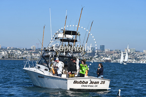 DSC_1500 (1)