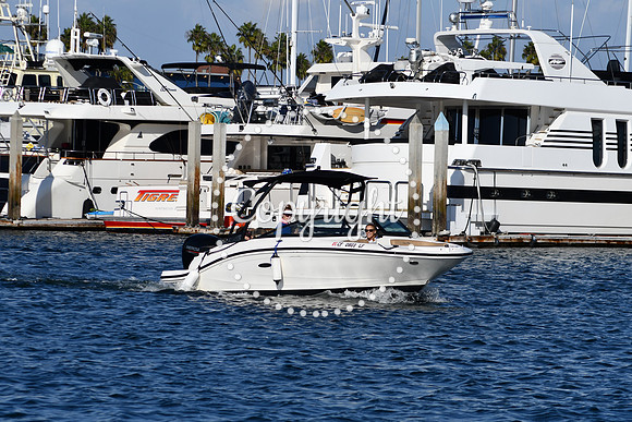 DSC_2326 (1)