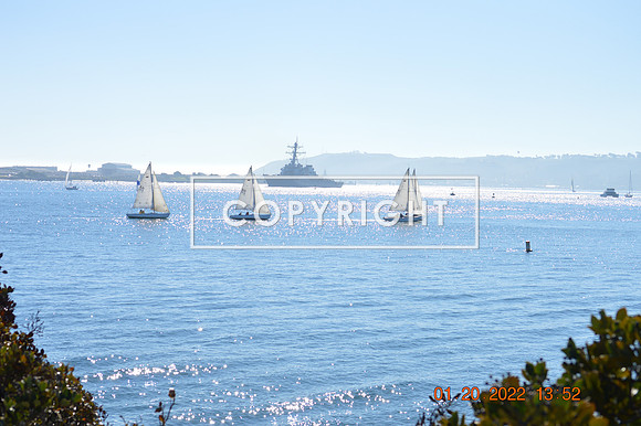 DSC_0028 (1)