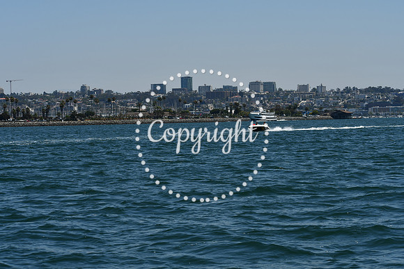 DSC_0169 (1)