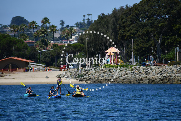DSC_0030 (1)