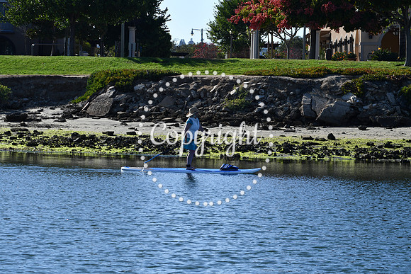 DSC_2202 (1)
