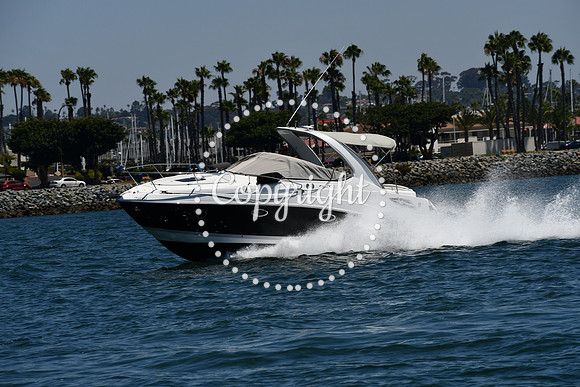 DSC_0187 (1)
