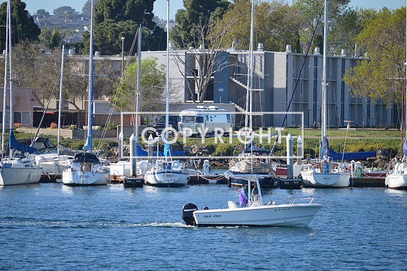 DSC_0011 (1)