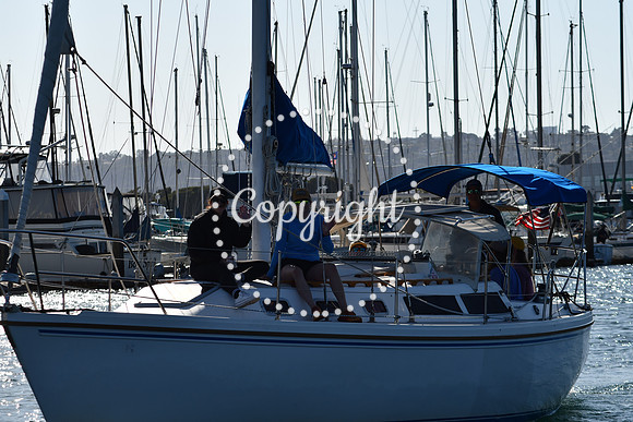 DSC_2174 (1)