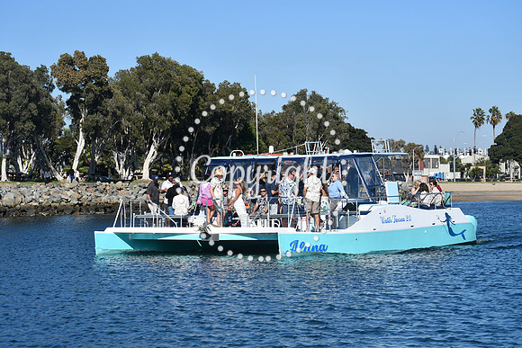 DSC_1526 (1)