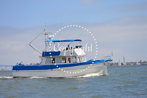 DSC_0270 - Copy