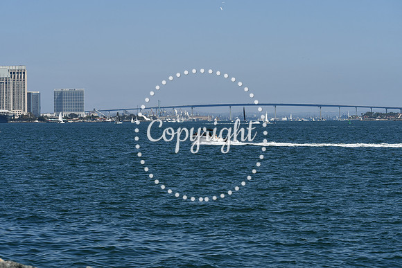 DSC_0602 (1)