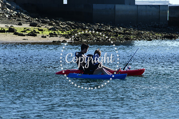 DSC_2219 (1)