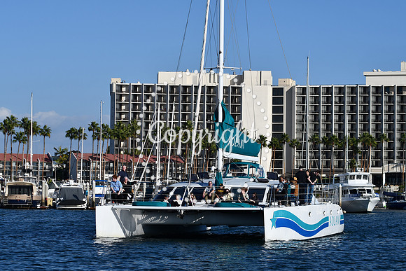 DSC_2366 (1)