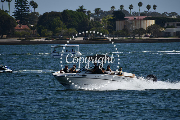 DSC_0596 (1)