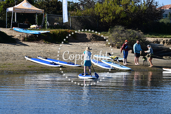DSC_2204 (1)