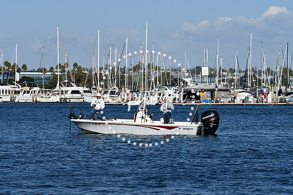 DSC_2258 (1)