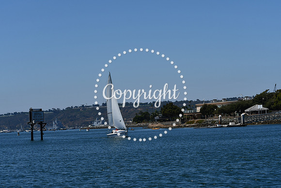 DSC_0058 (1)