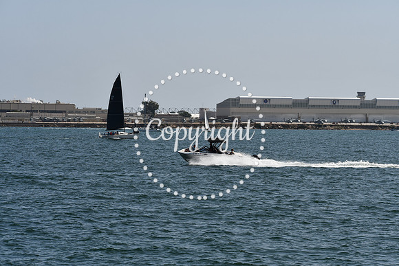 DSC_0594 (1)