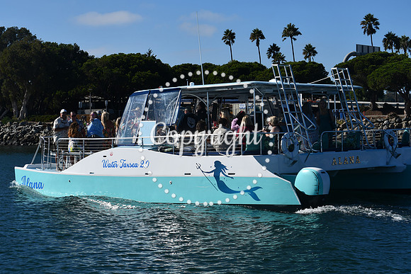 DSC_1533 (1)