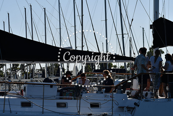 DSC_2095 (1)