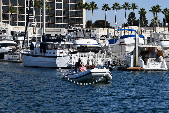 DSC_2043 (1)