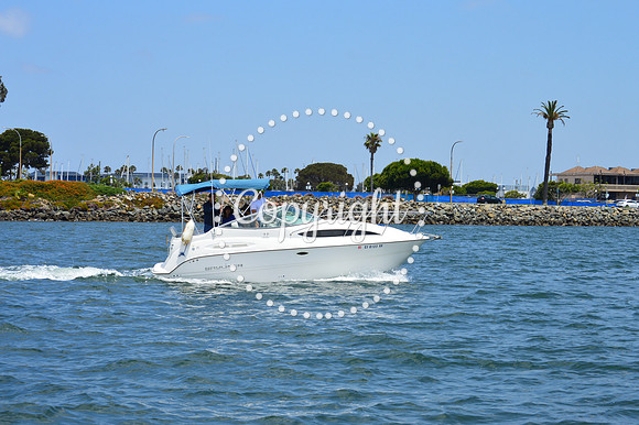 DSC_0047 - Copy