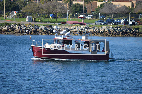 DSC_0074 (1)