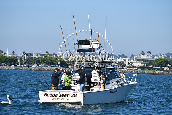 DSC_1492 (1)