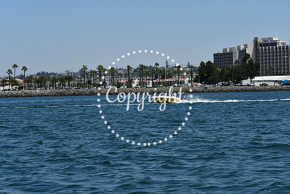 DSC_0167 (1)