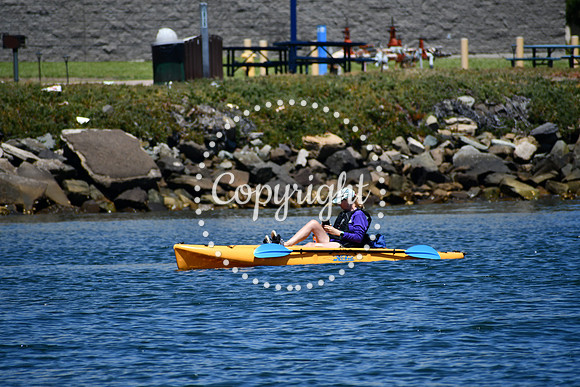 DSC_0071 (1)